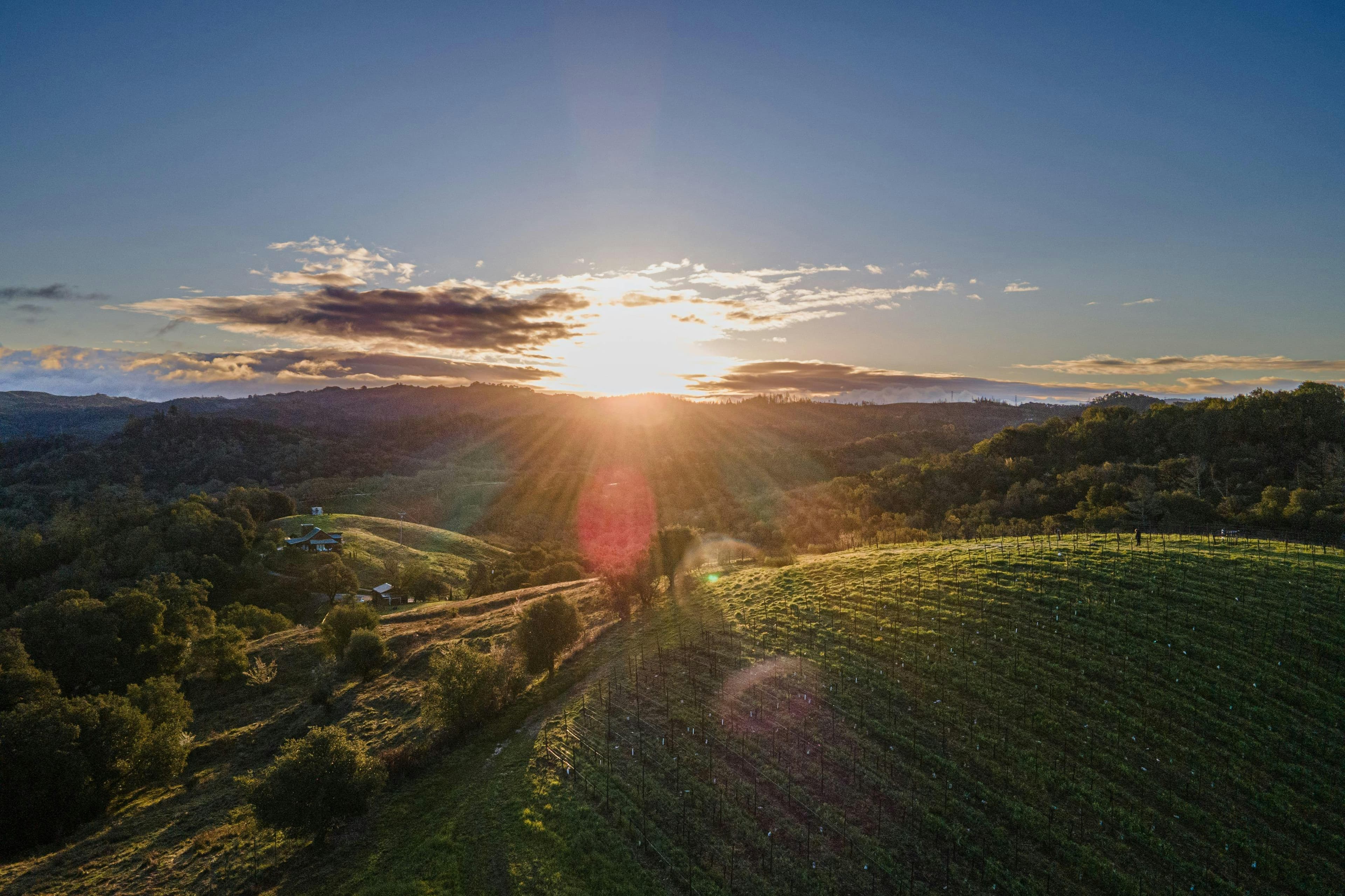 G&C Lurton Wines