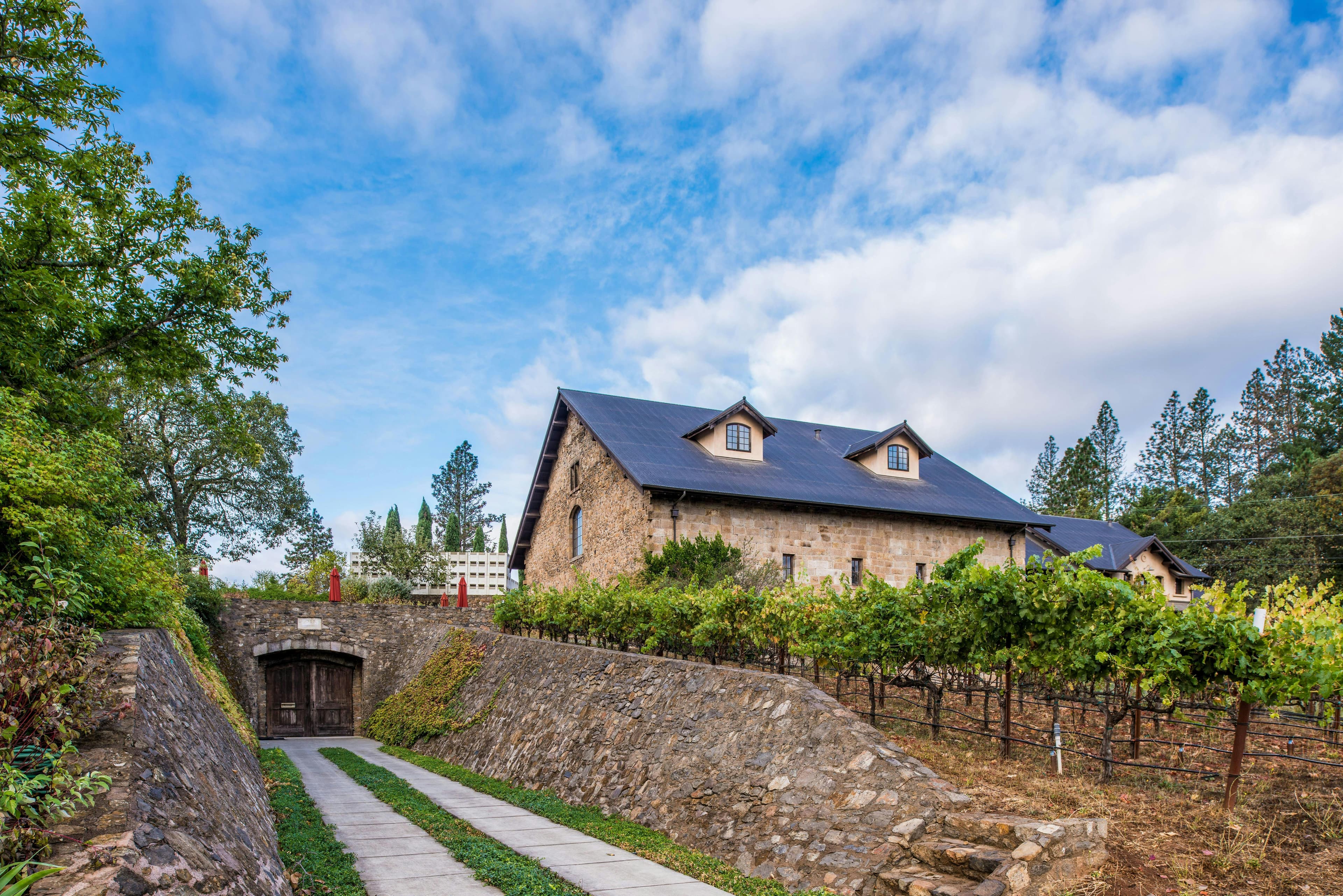 13th Vineyard