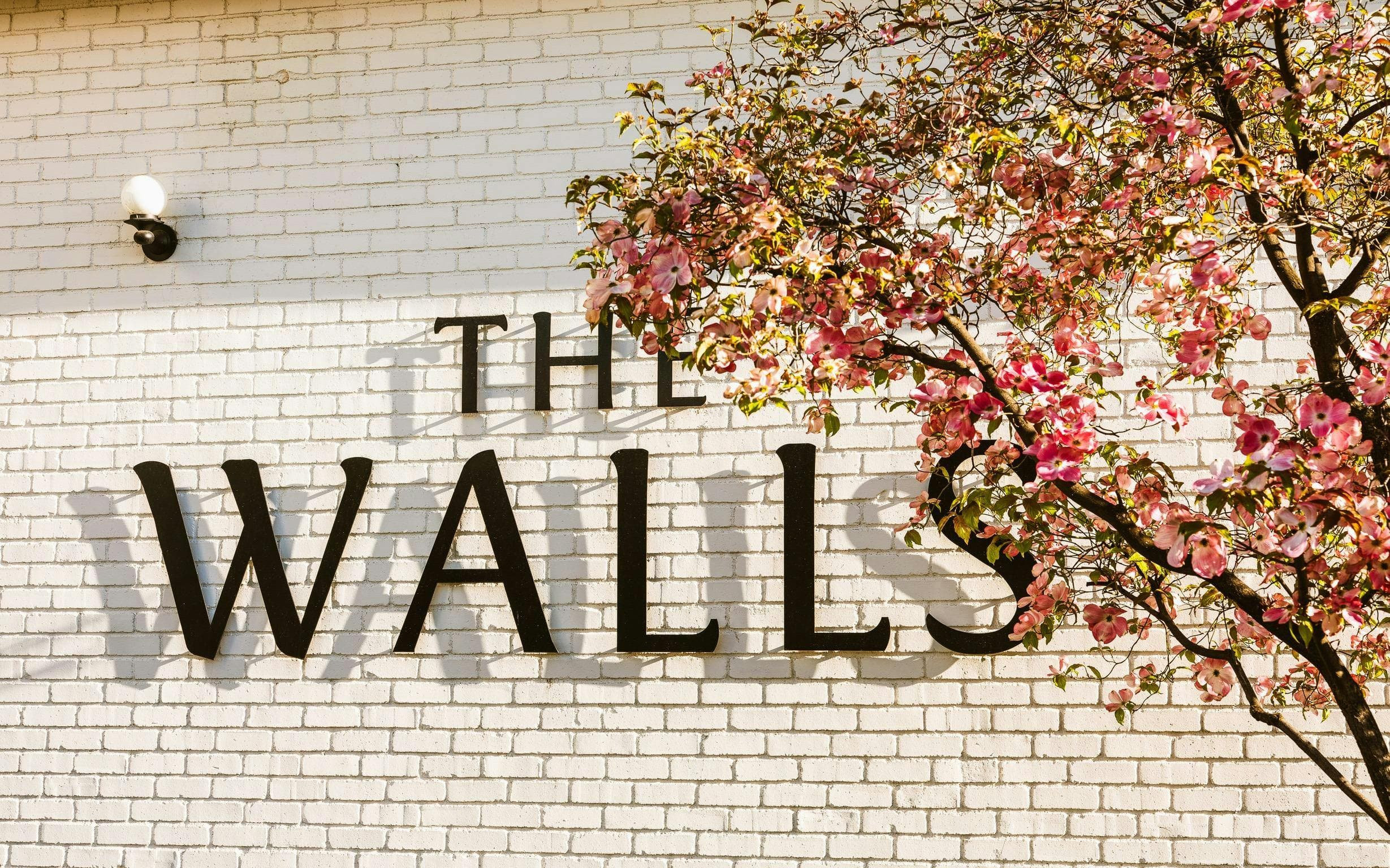 The Walls Vineyards | PÁŠXA Wines