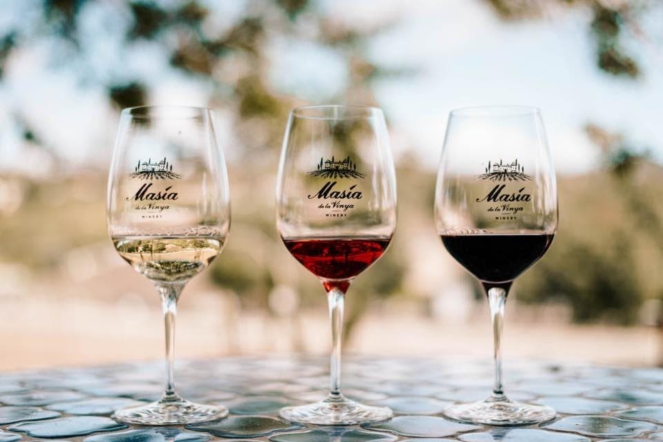 Masia de la Vinya Winery