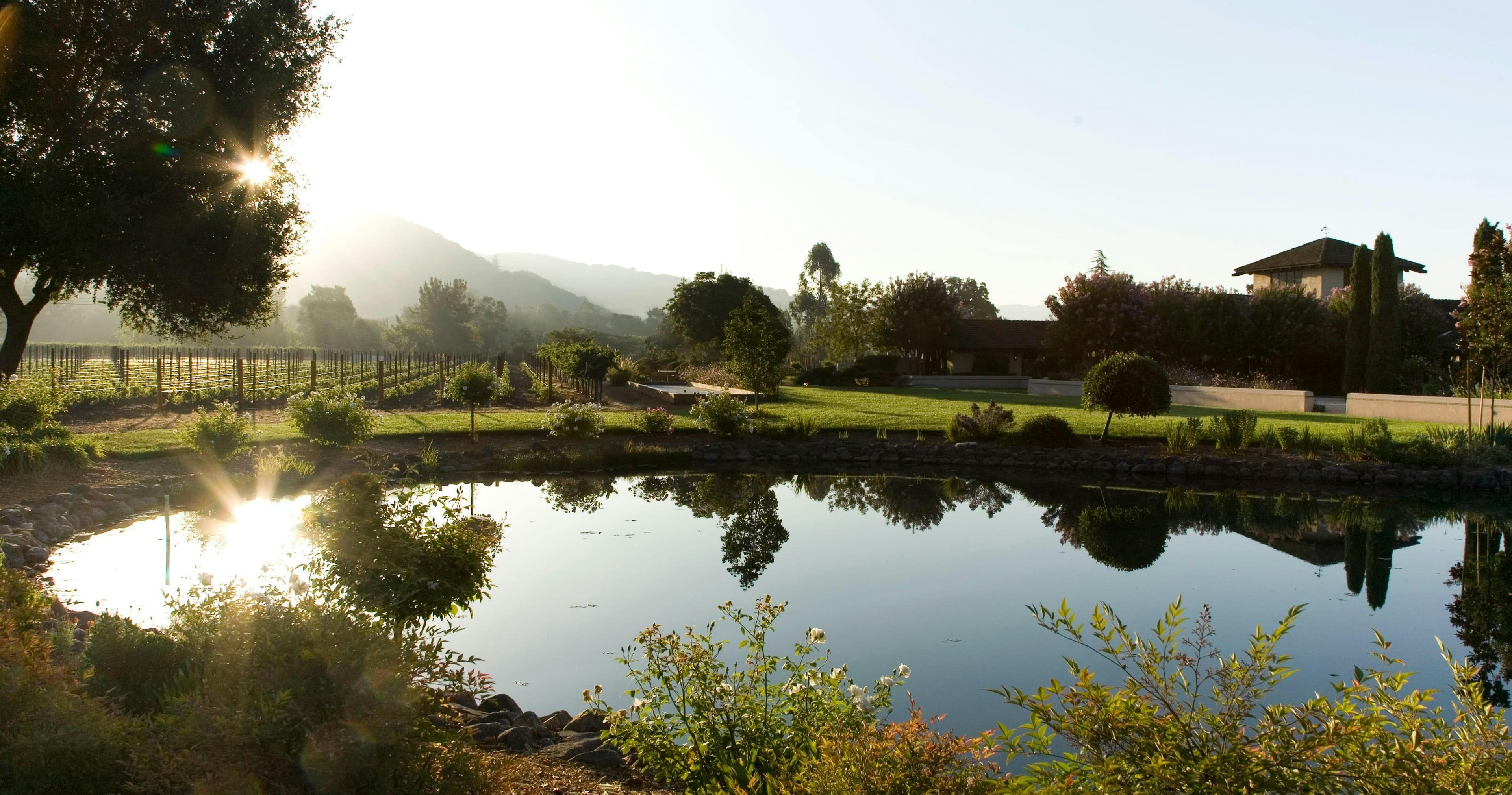 Landmark Vineyards - Kenwood Estate
