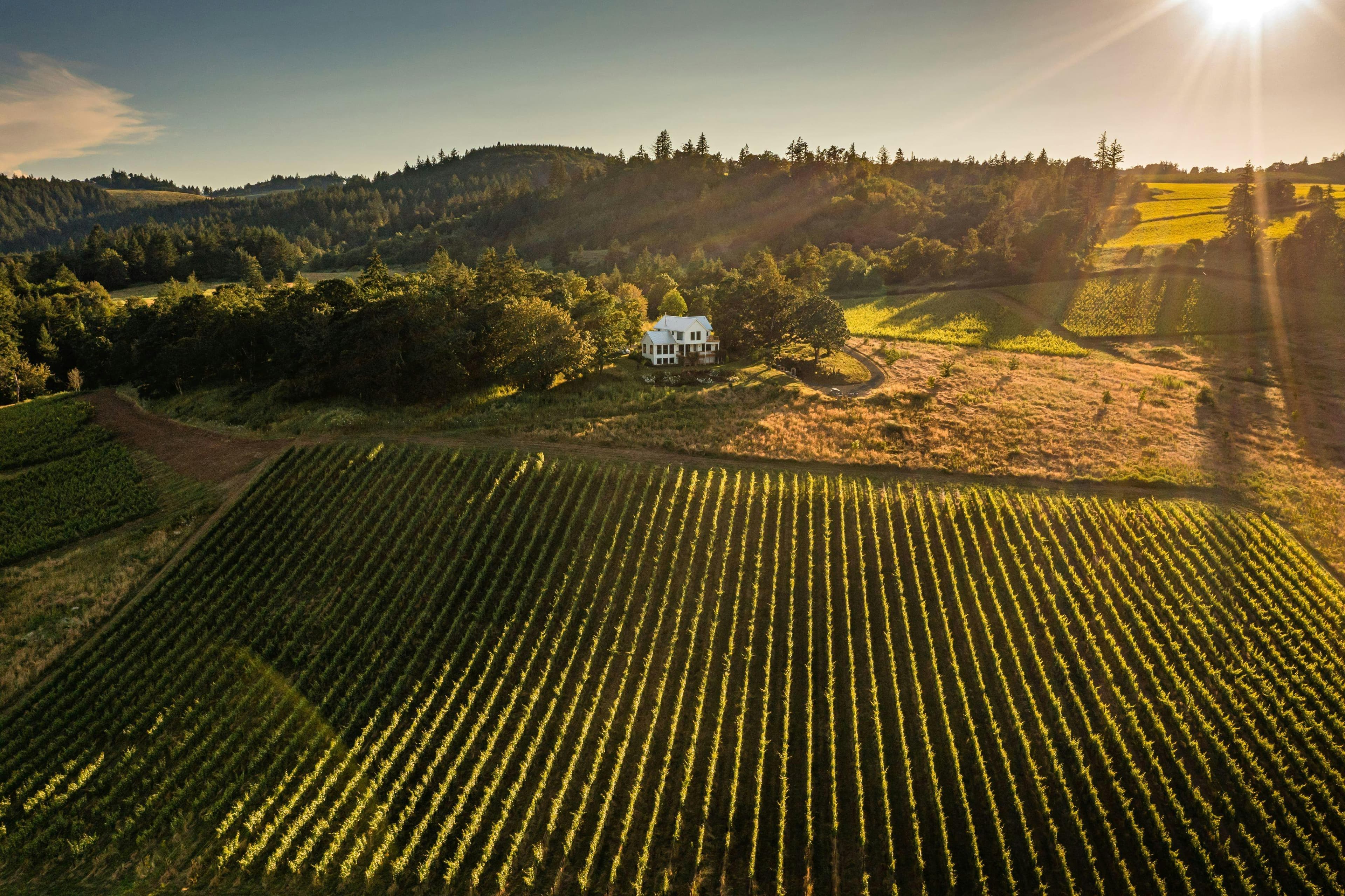 Bledsoe | McDaniels – Coulee Estate in Willamette Valley