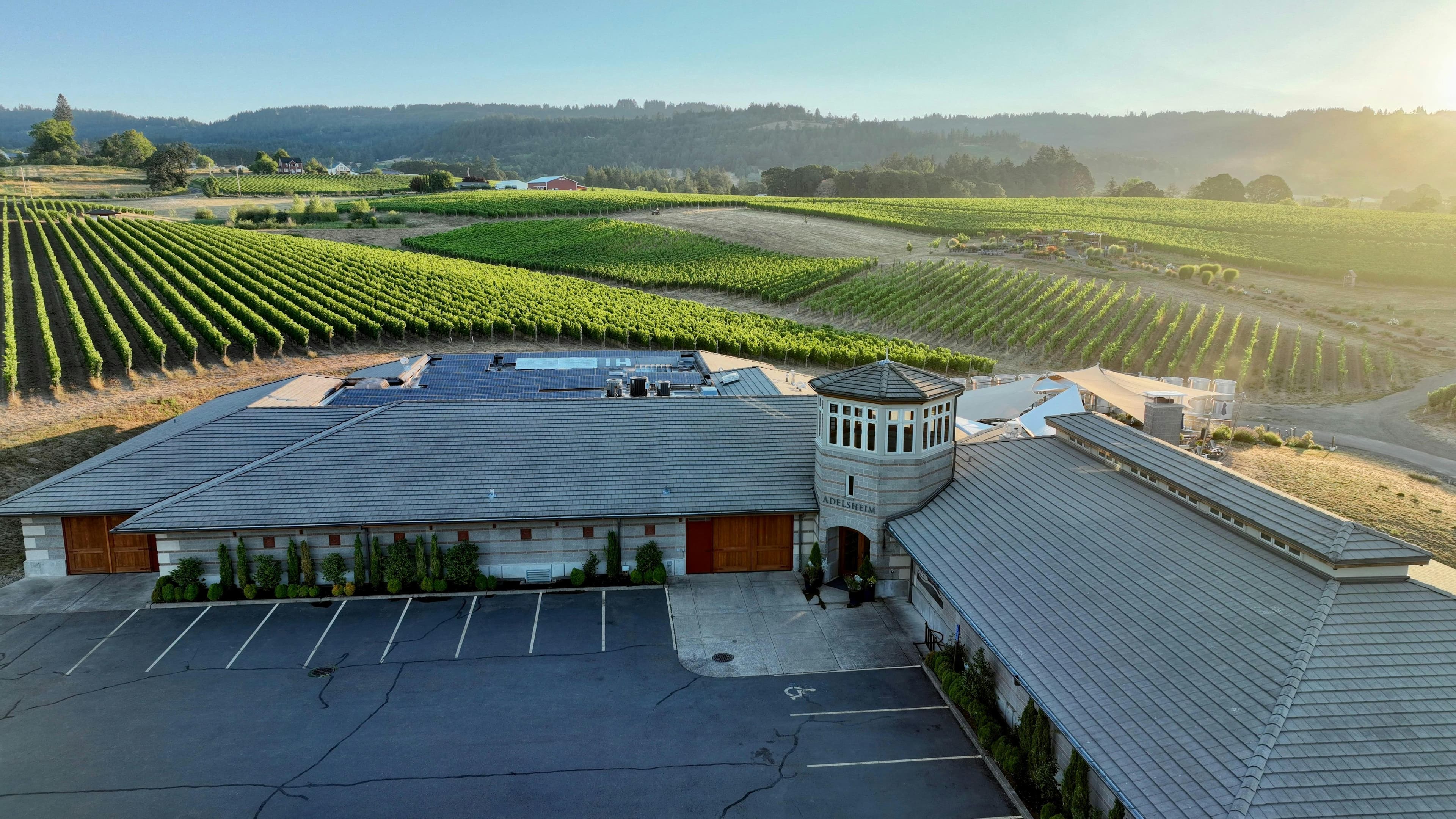 Adelsheim Vineyard