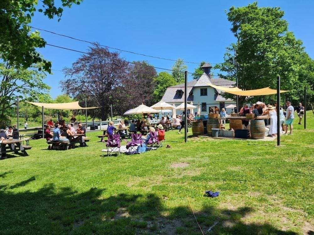 Greenvale Vineyards - Portsmouth