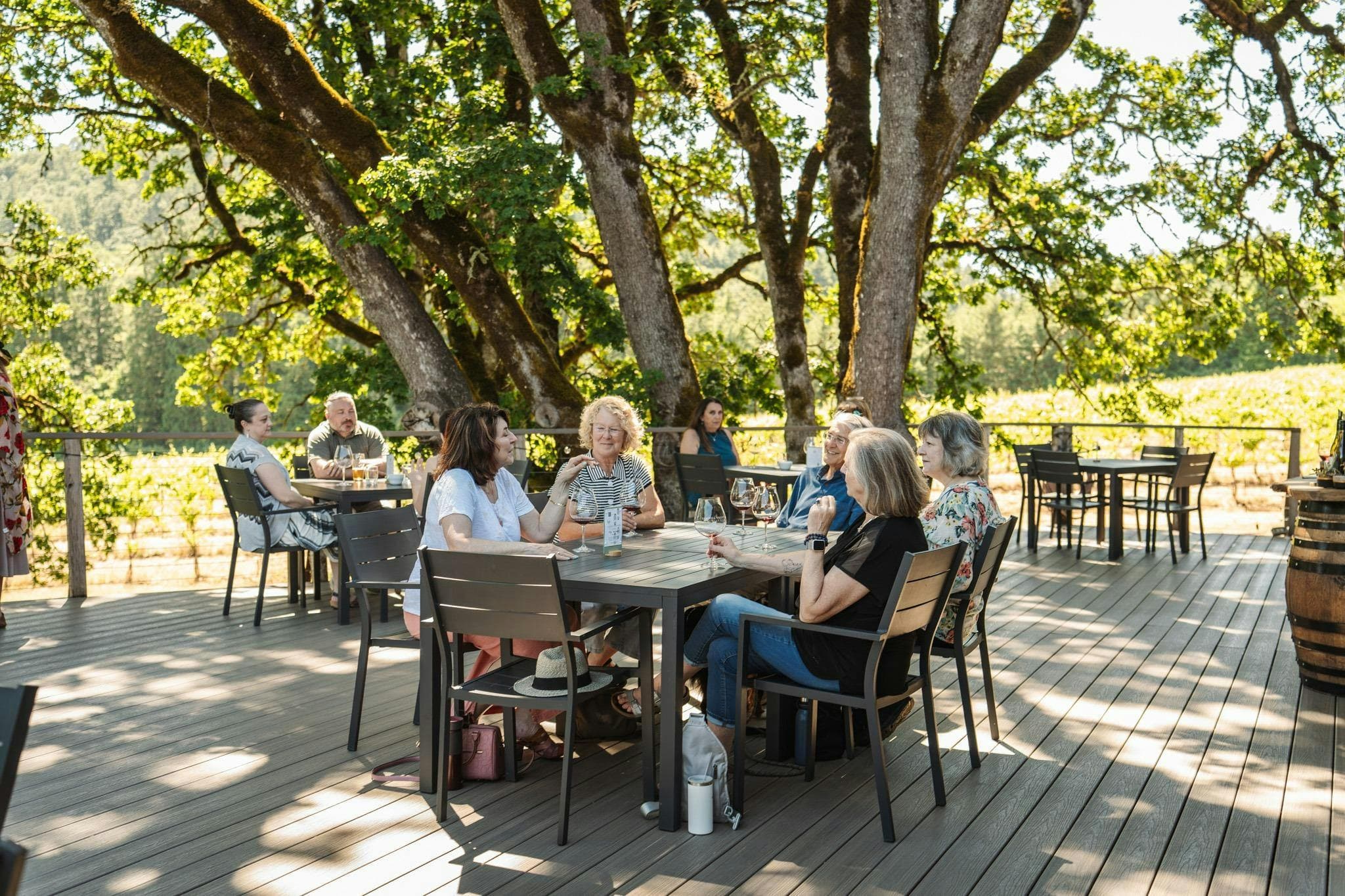 Yamhill Valley Vineyards