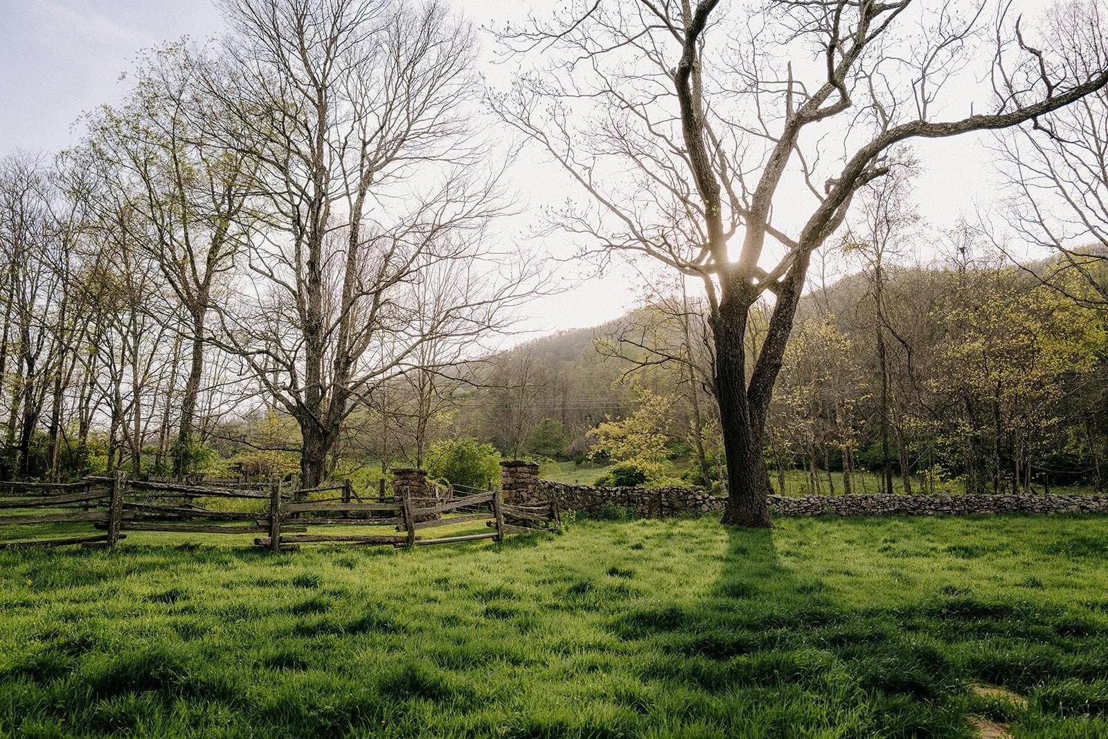 Troddenvale