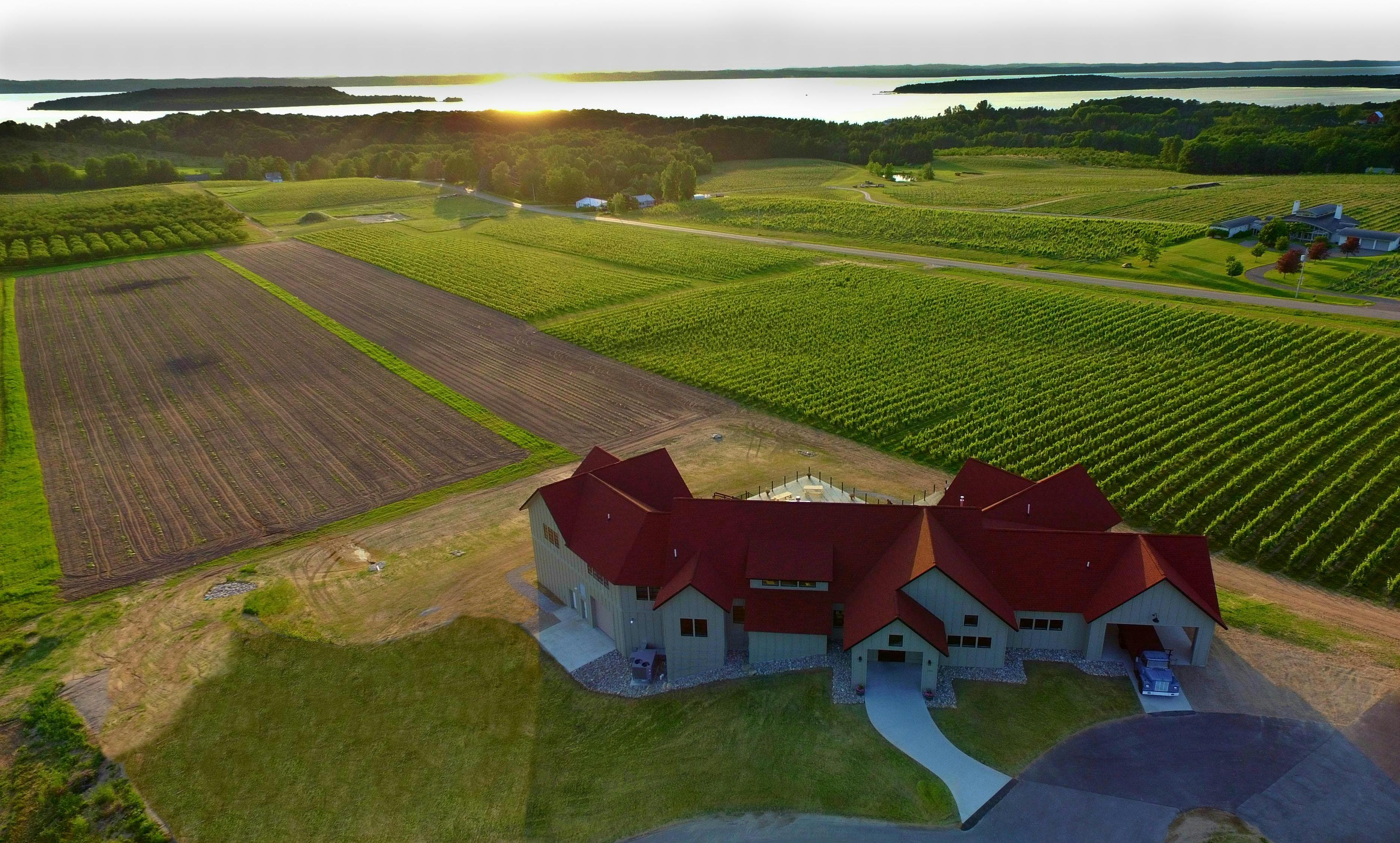 Bonobo Winery
