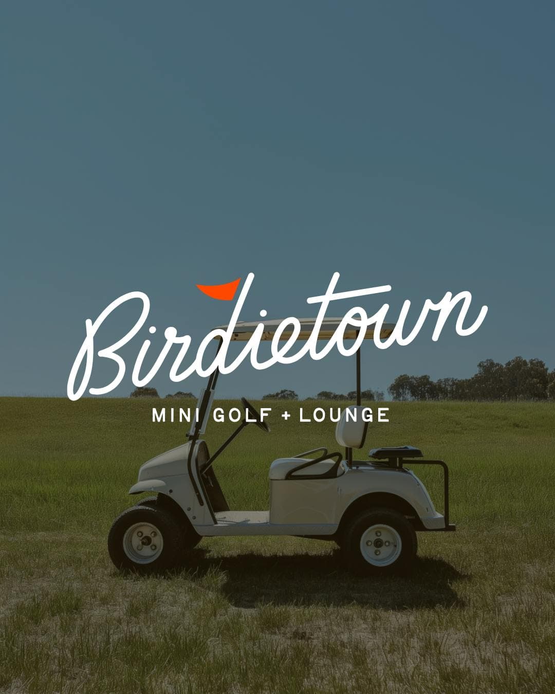Birdietown