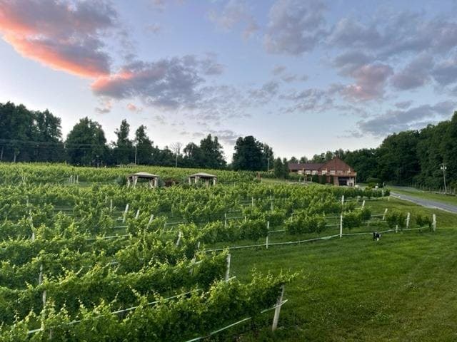 Accord Vineyards (formerly Fox Meadow)