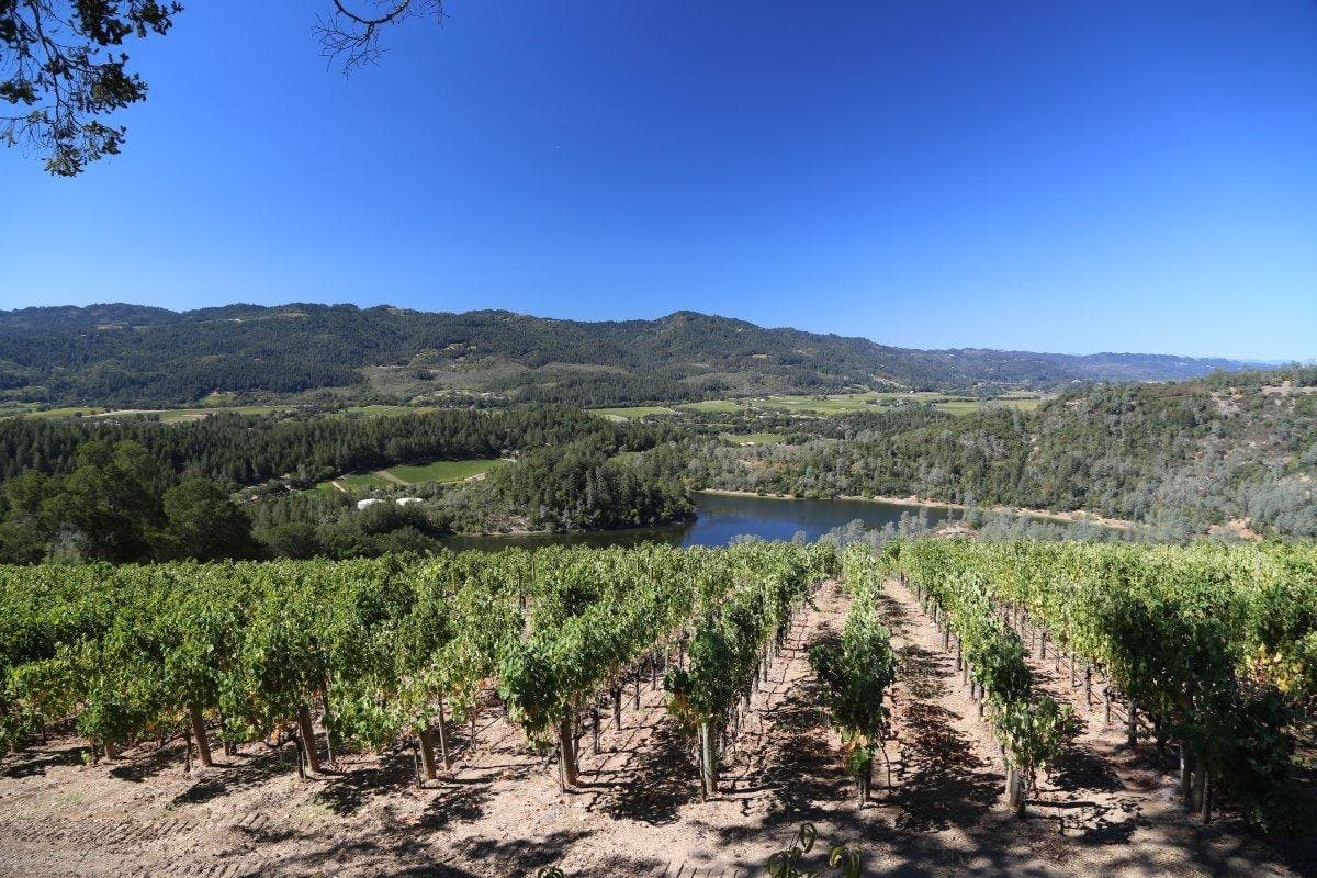 VIADER Vineyards and Winery