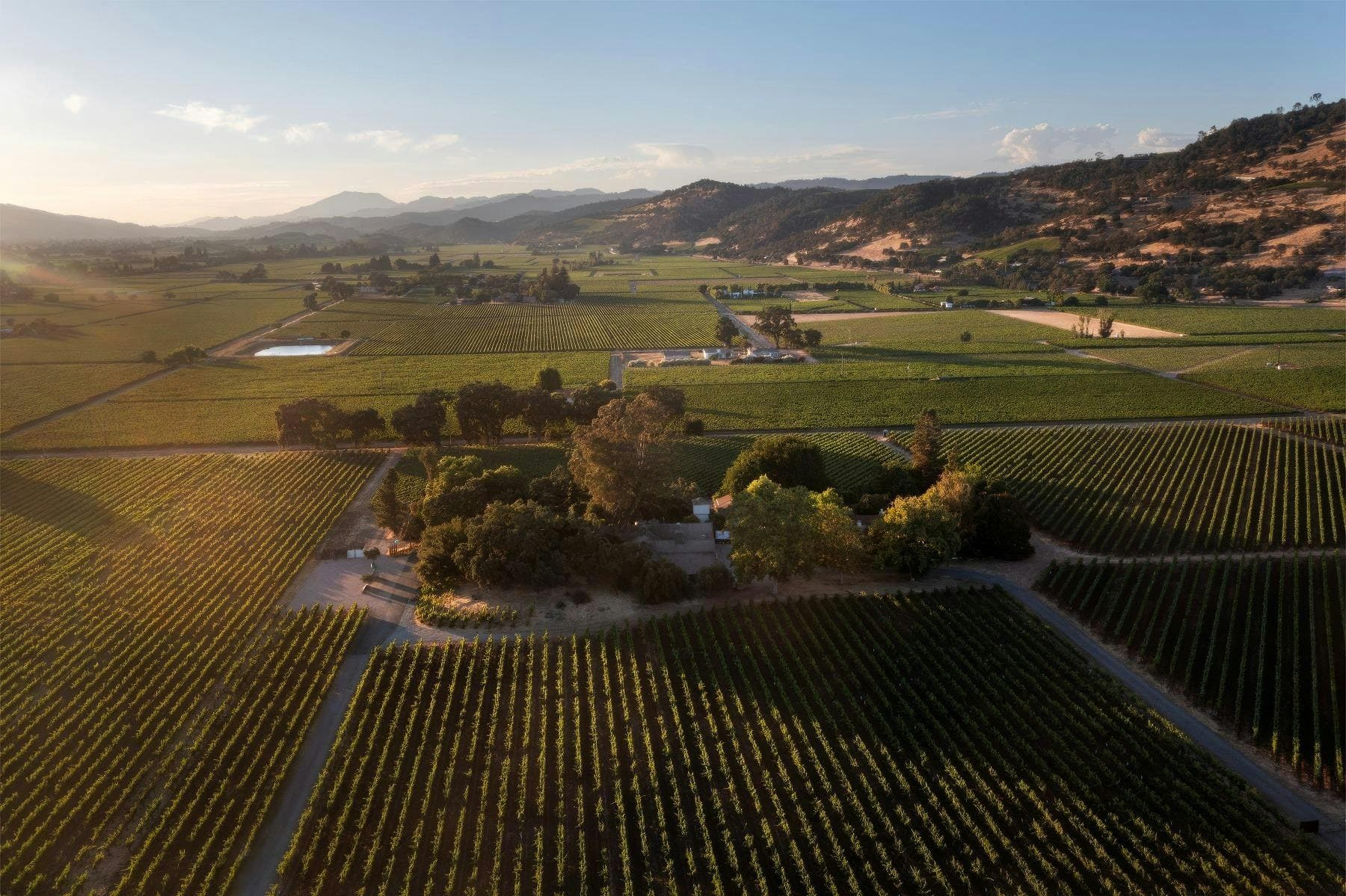 PlumpJack Estate Winery